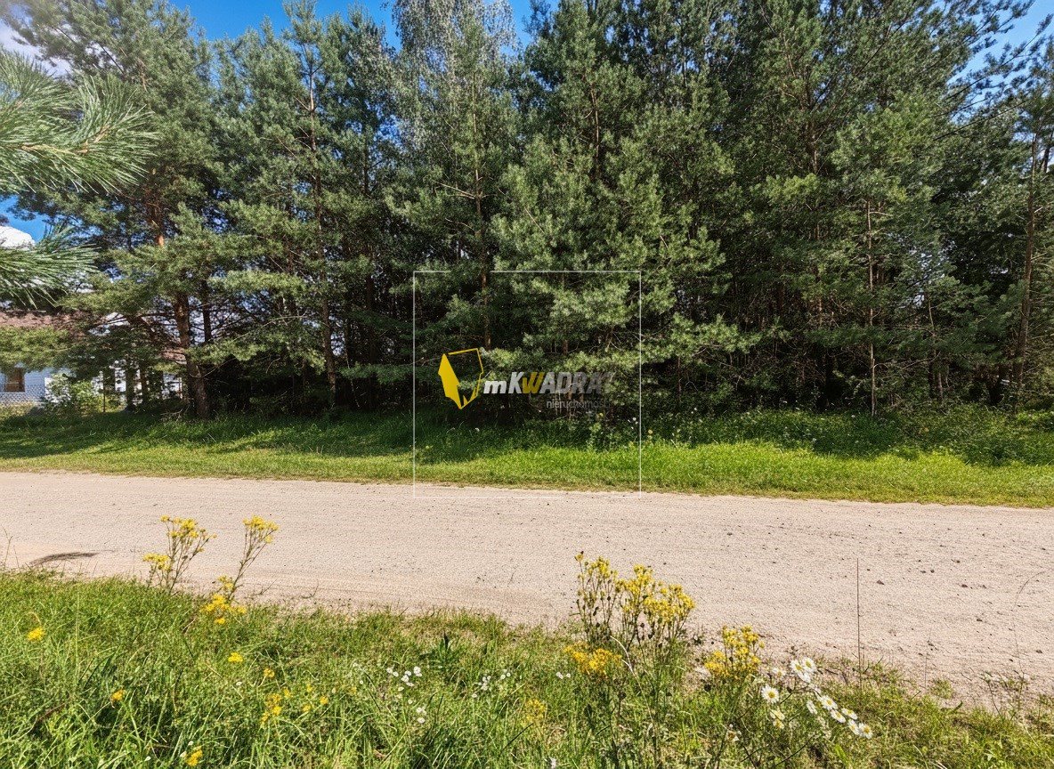 Zadrzewiona działka w Mrozach Wielkich — zdjęcie 5