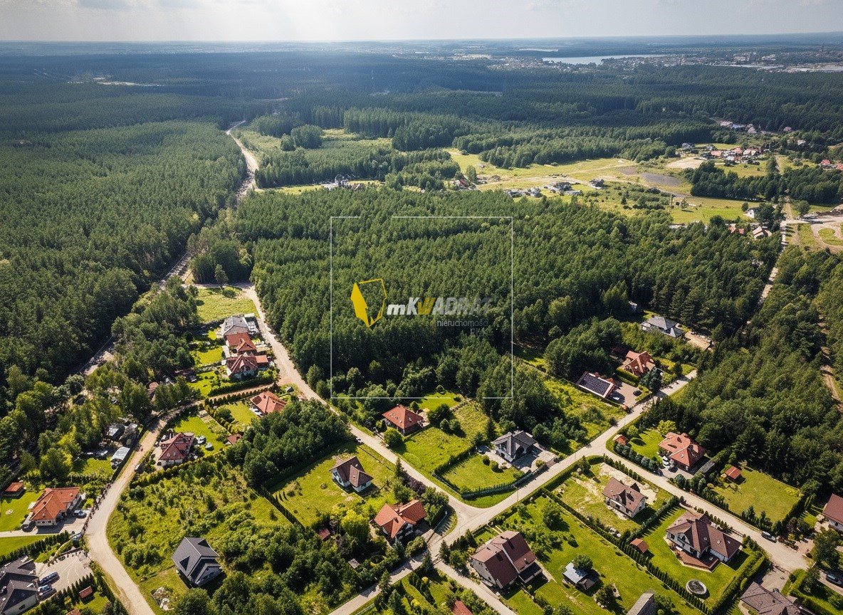 Zadrzewiona działka w Mrozach Wielkich — zdjęcie 2